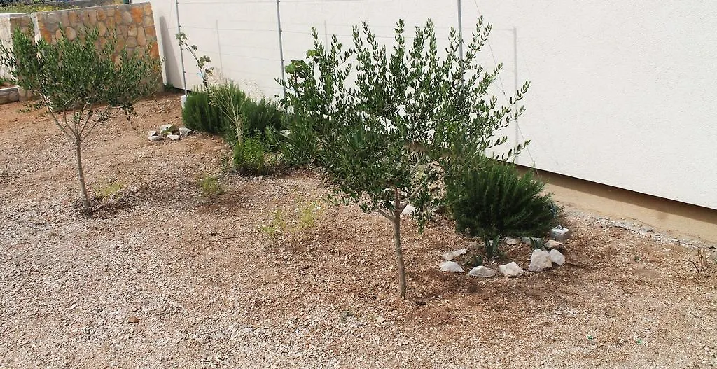 Apartments Gubo باغ